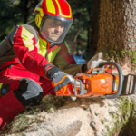 Tree Removal NYC
