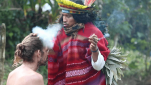 Ayahuasca Retreat