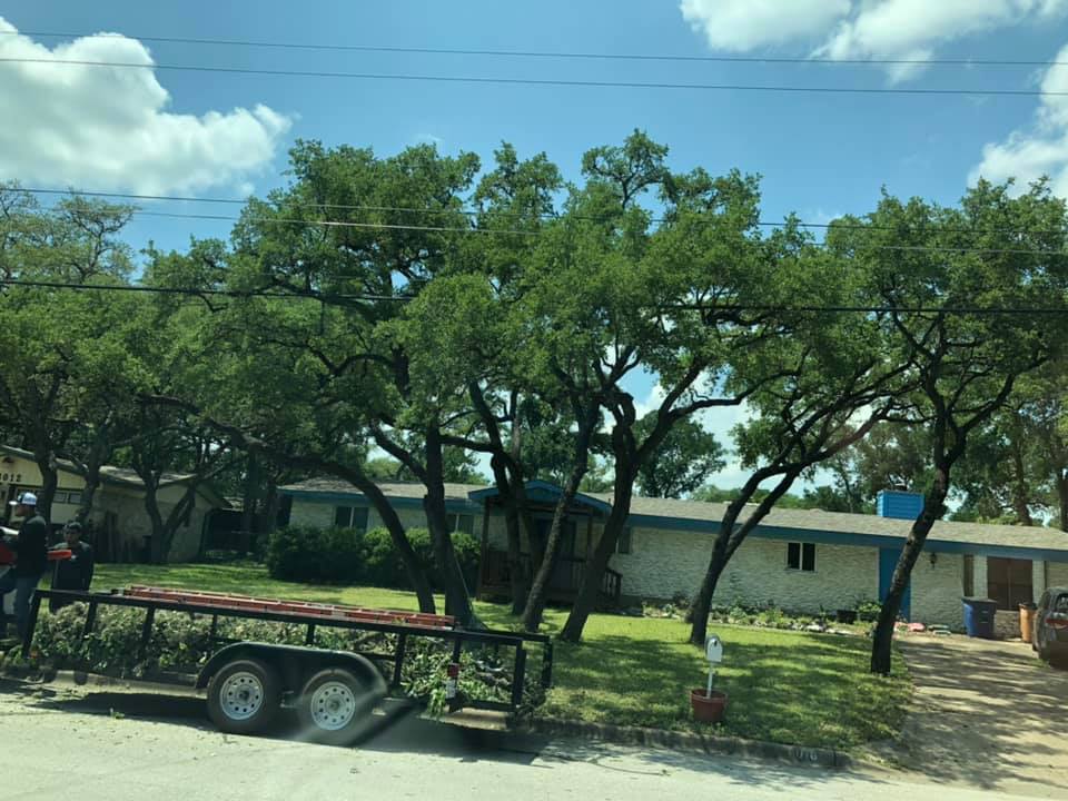 tree trimming San Antonio TX