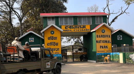 Safari in Bardia National Park – A Journey into Nepal’s Untamed Wilderness