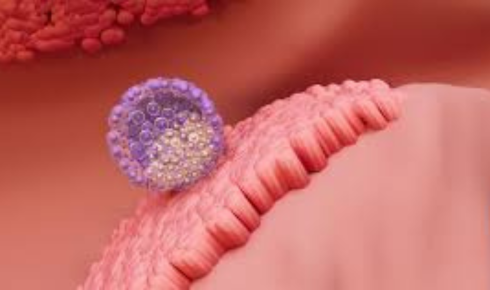 Conception Isn’t Instant: The 6-Day Sperm Journey