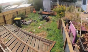 Outdoor Junk Removal