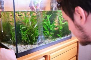 hard water