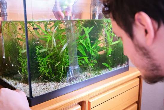 When Your Water Changes, Your Home Notices Too